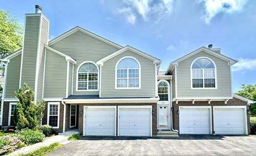 602 Muskegan Unit 602, Vernon Hills, IL 60061