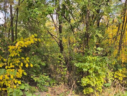 1213 W Park Front, Joliet, IL 60436