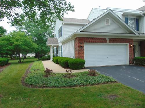 317 Grape Vine Unit 5, Oswego, IL 60543