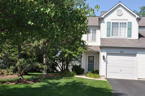 713 Blossom, Naperville, IL 60540