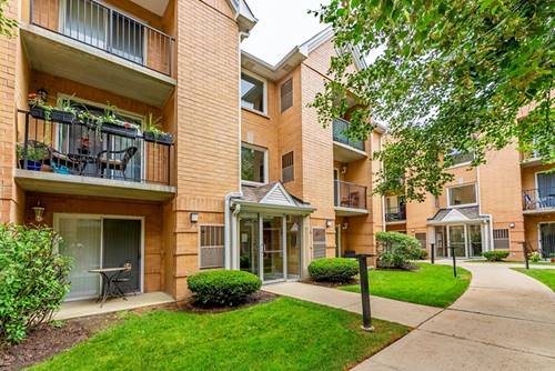 8710 W Evelyn Unit 201, Chicago, IL 60656