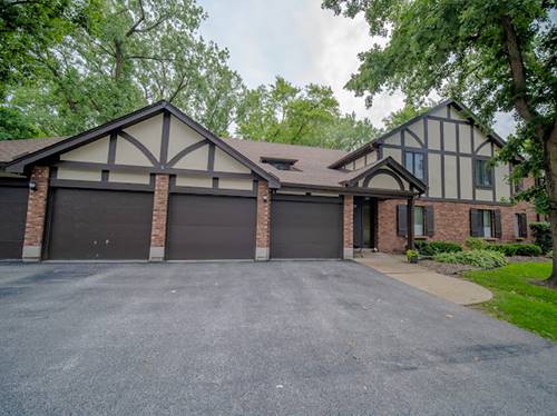 8125 Willow Unit C, Palos Hills, IL 60465