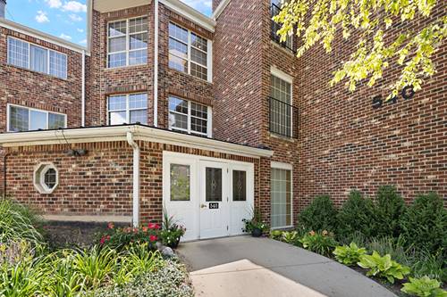 540 Biesterfield Unit 213, Elk Grove Village, IL 60007
