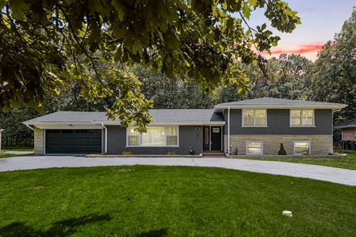 20852 Greenwood, Olympia Fields, IL 60461