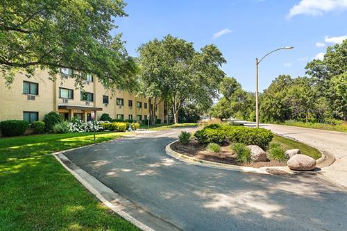 6600 S Brainard Unit 407, Countryside, IL 60525