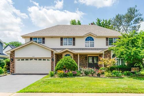 153 W Boardwalk, Palatine, IL 60067