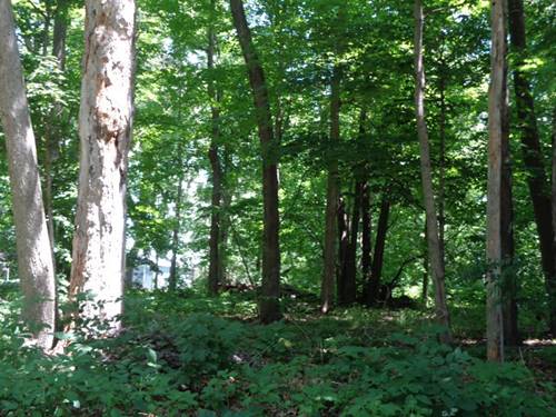 26XX Tuck A Way, Rockford, IL 61107