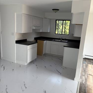 10601 Major Unit 2S, Chicago Ridge, IL 60415