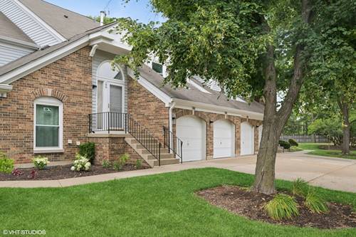 166 Willow Unit 166, Buffalo Grove, IL 60089