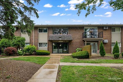 2300 Old Tavern Unit 101, Lisle, IL 60532