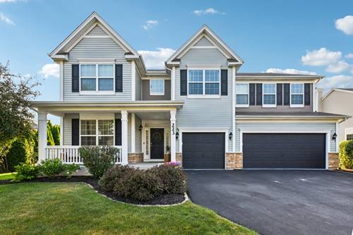 223 Julep, Oswego, IL 60543
