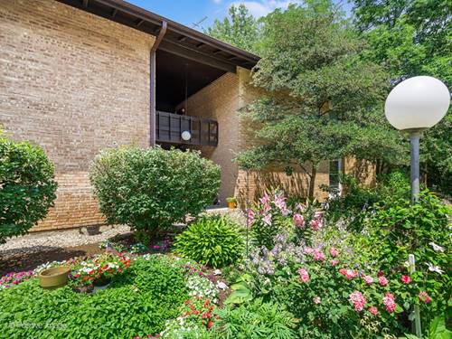 5536 E Lake Unit 68-C, Lisle, IL 60532