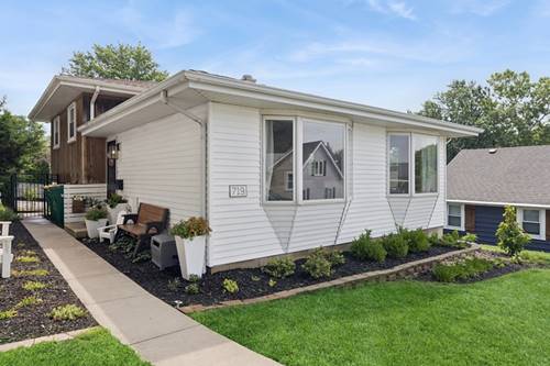 719 Ledochowski, Lemont, IL 60439