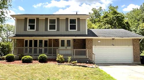 706 Carnation, Matteson, IL 60443
