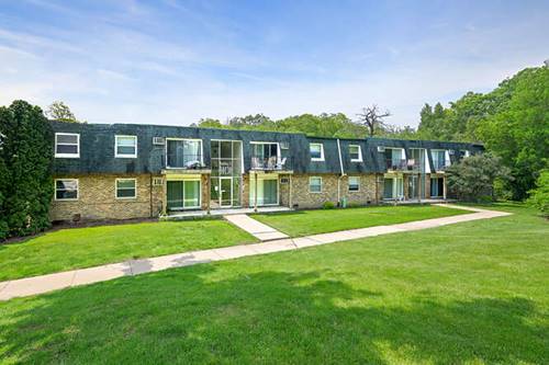 10130 S 84th Unit 11107, Palos Hills, IL 60465