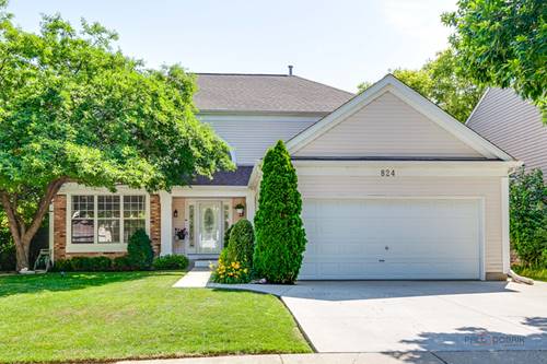 824 Tylerton, Grayslake, IL 60030