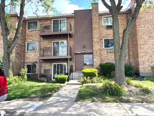 827 W College Unit 201, Addison, IL 60101