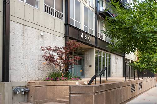 450 W Briar Unit 13C, Chicago, IL 60657