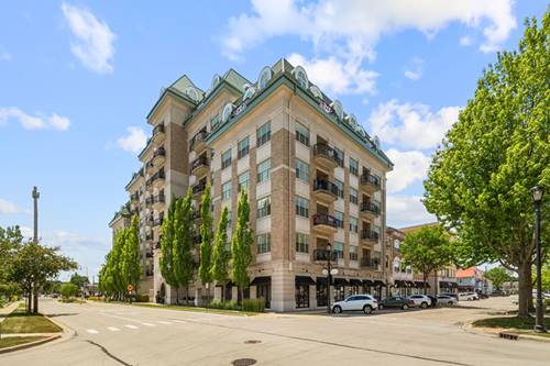 50 N Plum Grove Unit 703E, Palatine, IL 60067