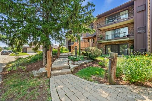 61 W Pier Unit 201, Westmont, IL 60559