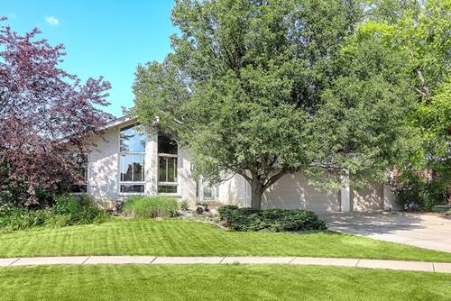 8124 Glenbrook, Tinley Park, IL 60487