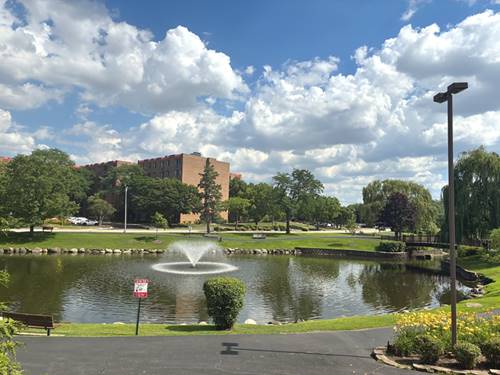 1103 S Hunt Club Unit 125, Mount Prospect, IL 60056