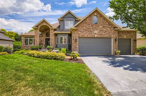 12723 Hawks Bill, Plainfield, IL 60585