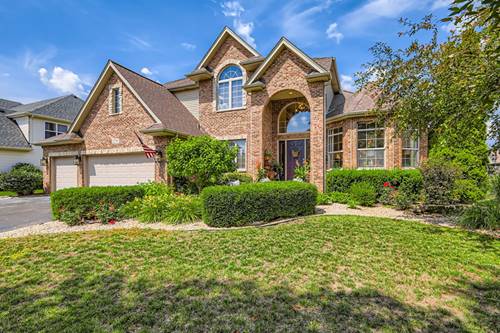 12740 Hawks Bill, Plainfield, IL 60585