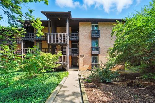 5605 Lakeside Unit 1F, Lisle, IL 60532