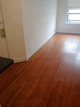307 E 50th Unit A, Chicago, IL 60615
