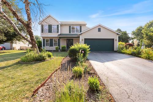 255 Ironbark, Bolingbrook, IL 60440