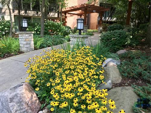 5900 Oakwood Unit 2G, Lisle, IL 60532