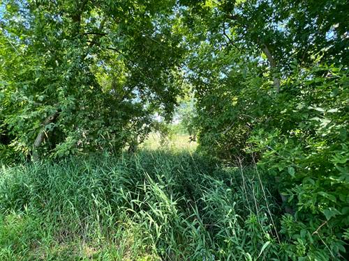 35025 N Ingleside, Ingleside, IL 60041