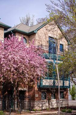 3056 N Paulina, Chicago, IL 60657