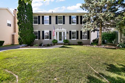 4220 Glenlo, Plainfield, IL 60586