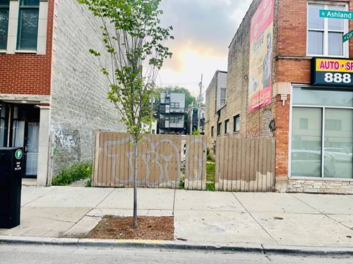 1028 N Ashland, Chicago, IL 60622