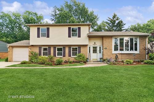 1501 E Dorothy, Palatine, IL 60074
