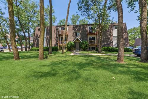 214 Madison Unit 3A, Joliet, IL 60435