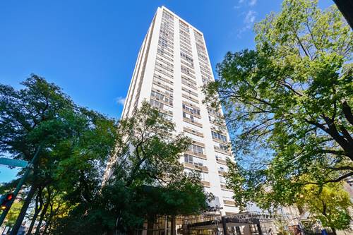 70 W Burton Unit 1108, Chicago, IL 60610