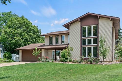 253 Fremont, Bloomingdale, IL 60108