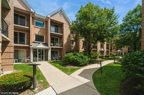 8710 W Evelyn Unit 204, Chicago, IL 60656
