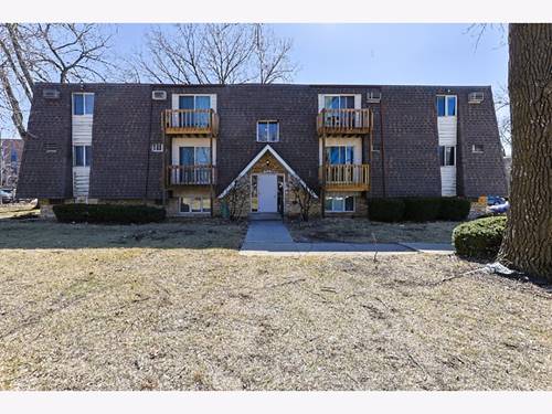 212 Madison Unit 3B, Joliet, IL 60435