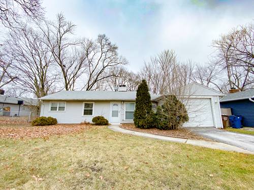 252 Mantua, Park Forest, IL 60466