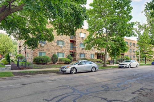 420 Home Unit 202, Oak Park, IL 60302