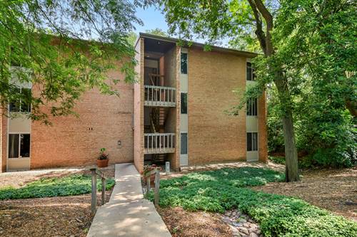 6017 Forest View Unit 3-C, Lisle, IL 60532