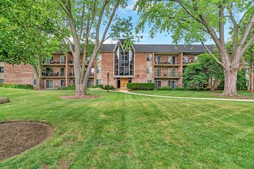 520 Burning Tree Unit 306, Naperville, IL 60563