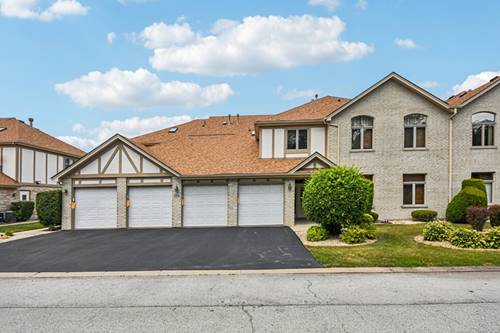 6514 Pine Trail Unit 2, Tinley Park, IL 60477