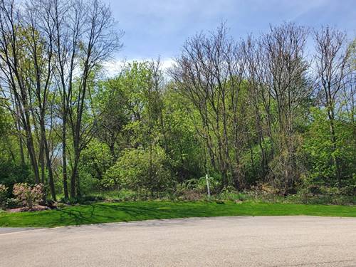 16149 Scenic, Wadsworth, IL 60083