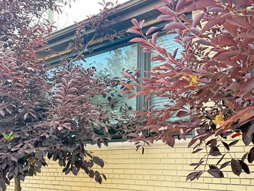 4201 W 55th Unit 1, Chicago, IL 60632