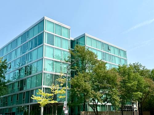 3115 S Michigan Unit 503, Chicago, IL 60616